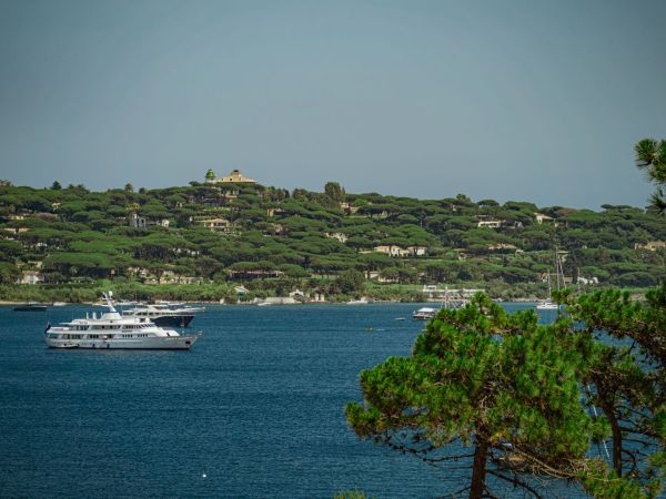 Découvrez la bastide du port : votre hôtel à saint-tropez