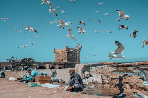 Découvrez les traditions marocaines et la mer à essaouira