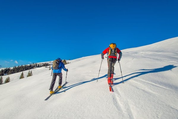 Quels sont les meilleurs circuits de randonnée dans le parc national de la Vanoise pour apercevoir des marmottes?