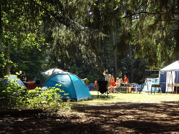 Le camping des Gorges de l'Aveyron : un lieu de rencontre avec la faune locale ?