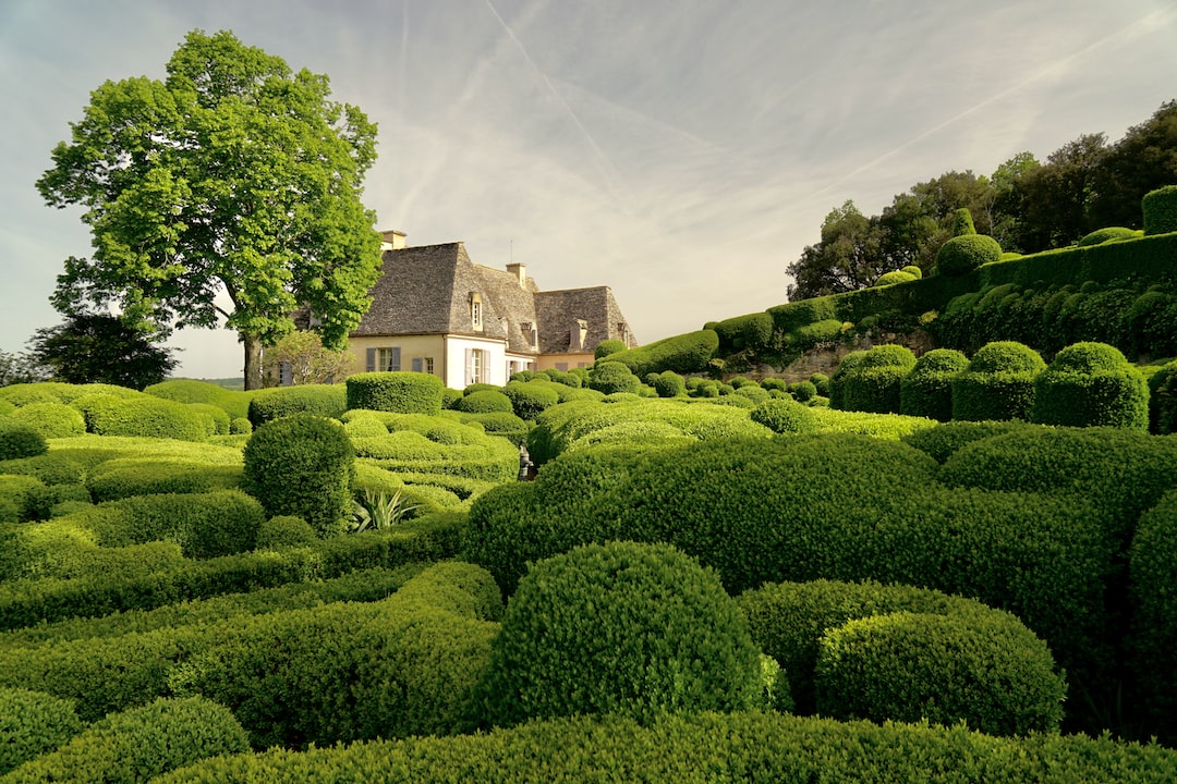 Comment sont vus les Franais en Angleterre ?